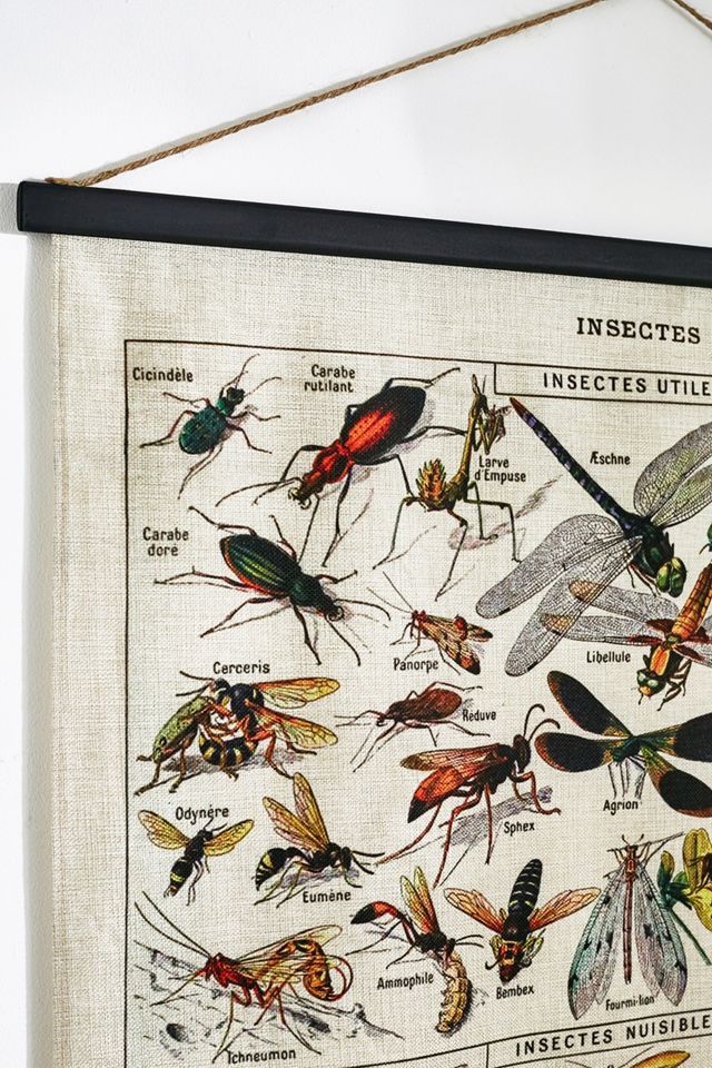 Wanddeko „Insects“ #2