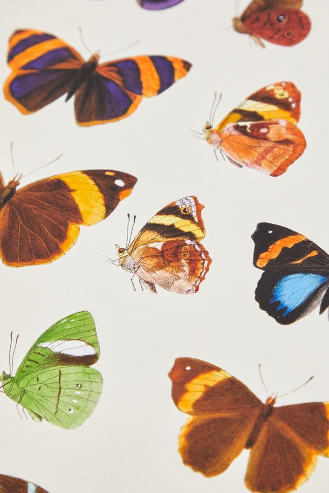 The Dybdahl Co. Insectum #5307 Poster #1