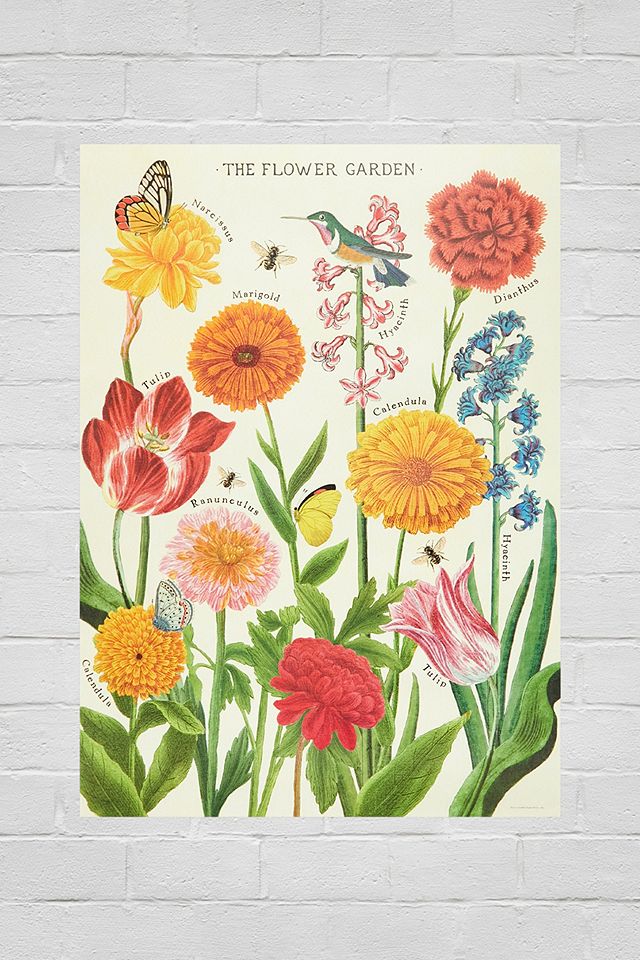 Cavallini & Co - Poster 70 x 50 jardin fleuri