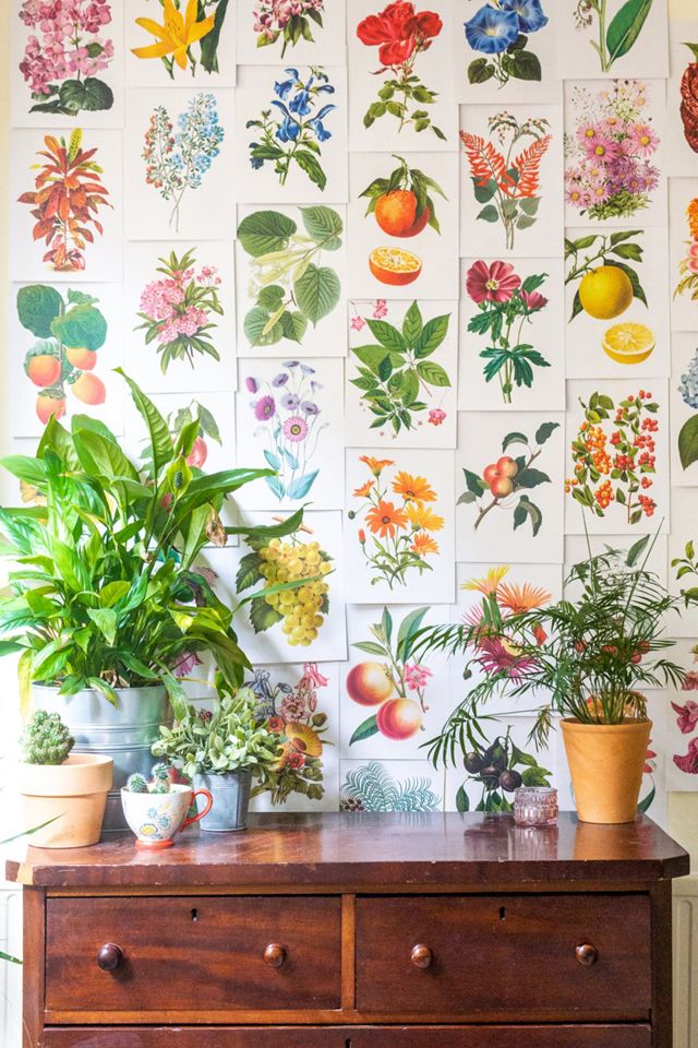 Cai & Jo Botanical Collage Kit