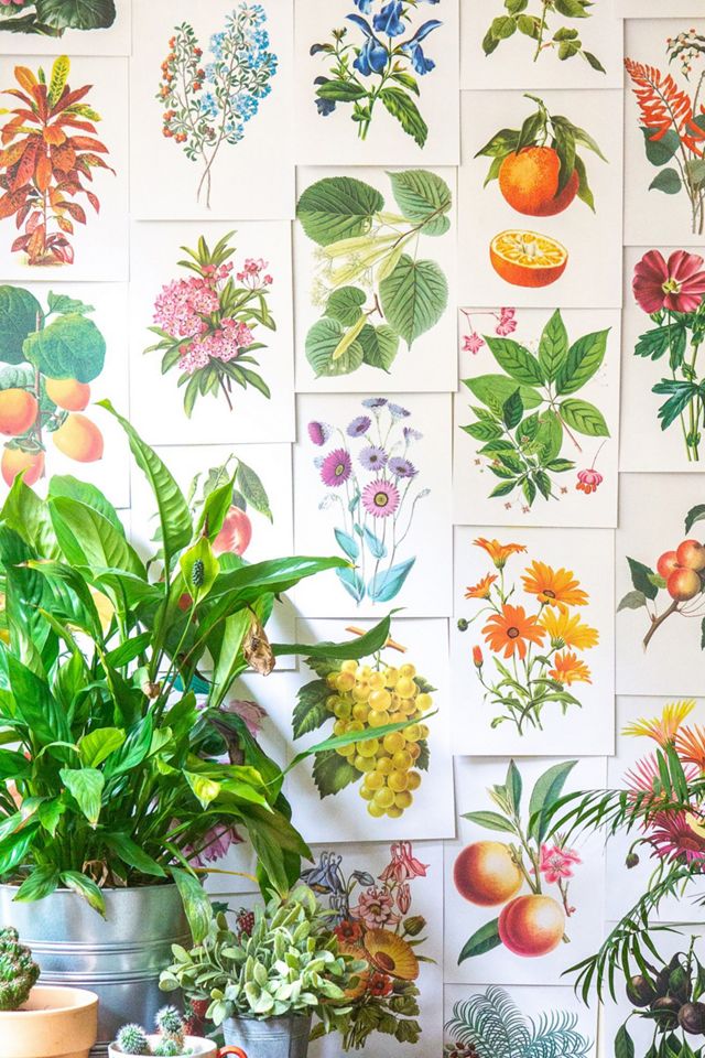 Cai & Jo Botanical Collage Kit #1