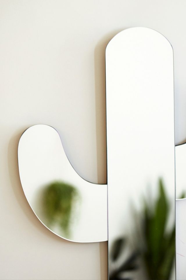 Cactus Mirror #2