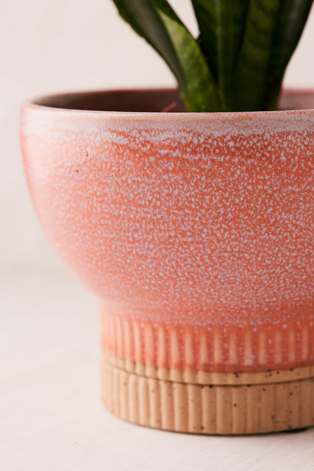 Soren Small Coral Plant Pot #2