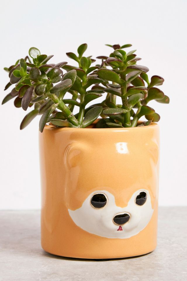 Pot de fleurs Boo Dog  #1