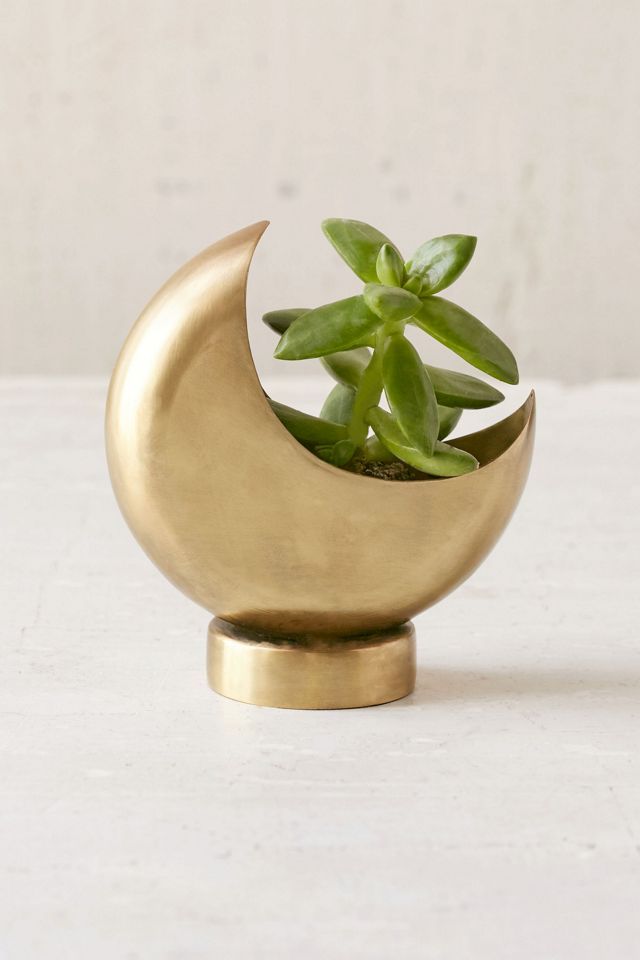 Crescent Moon Planter  #2