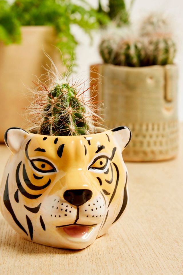 Mini Tiger Head Plant Pot #3