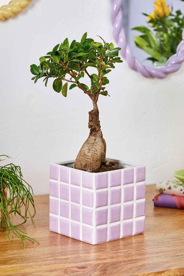 Lilac Tile Print Plant Pot Urban Outfitters UK