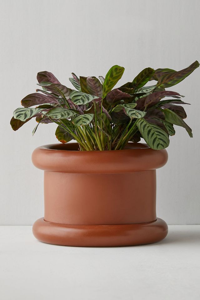 Layla Tube Planter #1