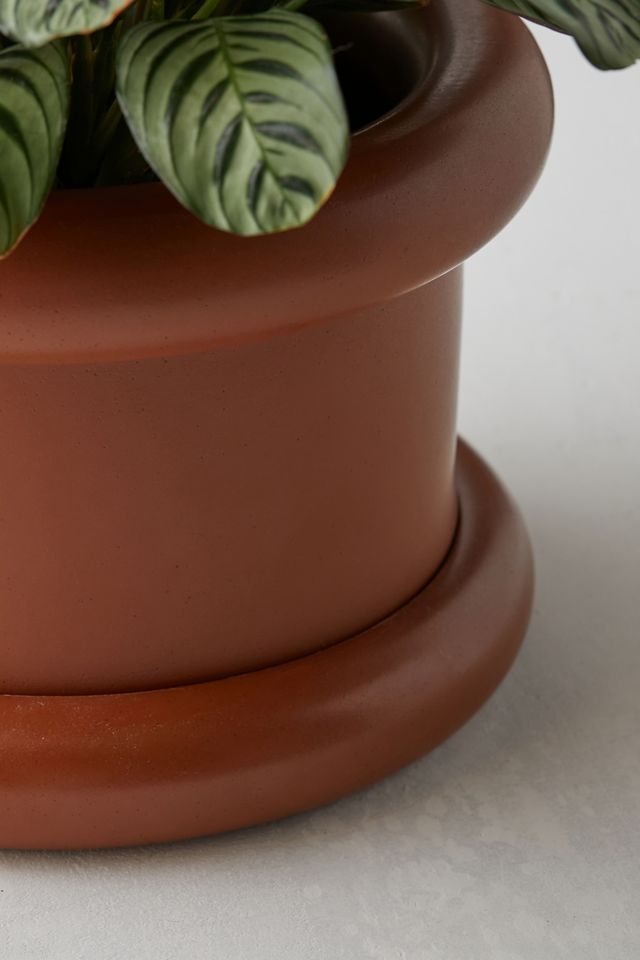 Layla Tube Planter #3