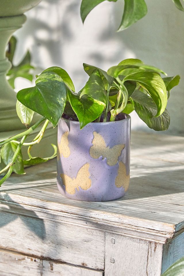 Butterfly Plant Pot 