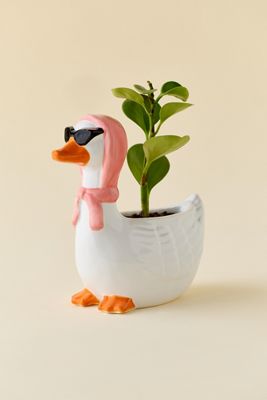 Vaso a Forma di Oca