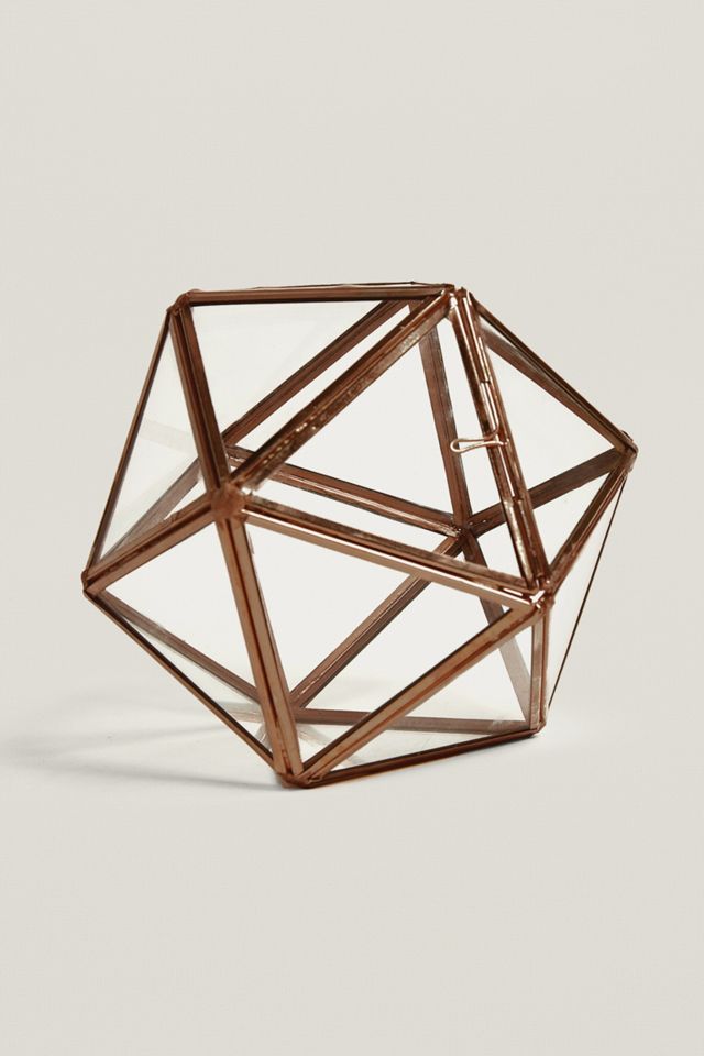Terrarium étoile #1