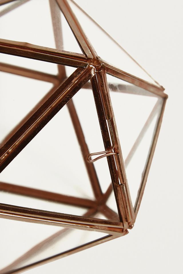 Terrarium étoile #3
