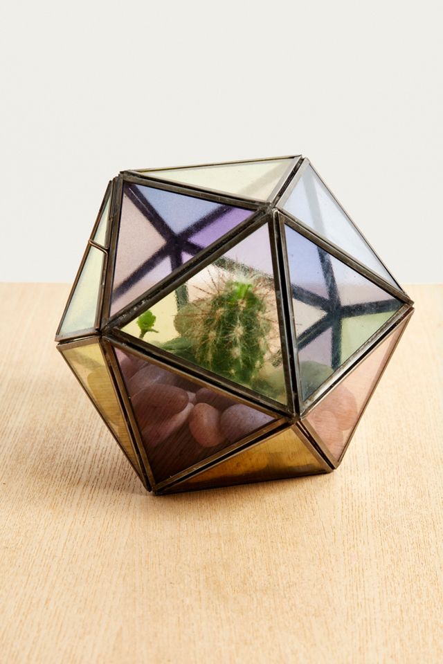 Terrarium en verre coloré #2