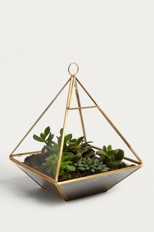 Brass Pyramid Terrarium #2