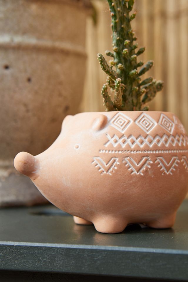 Hedgehog Planter #1