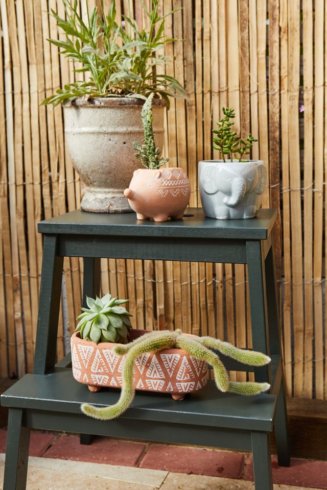 Hedgehog Planter #2