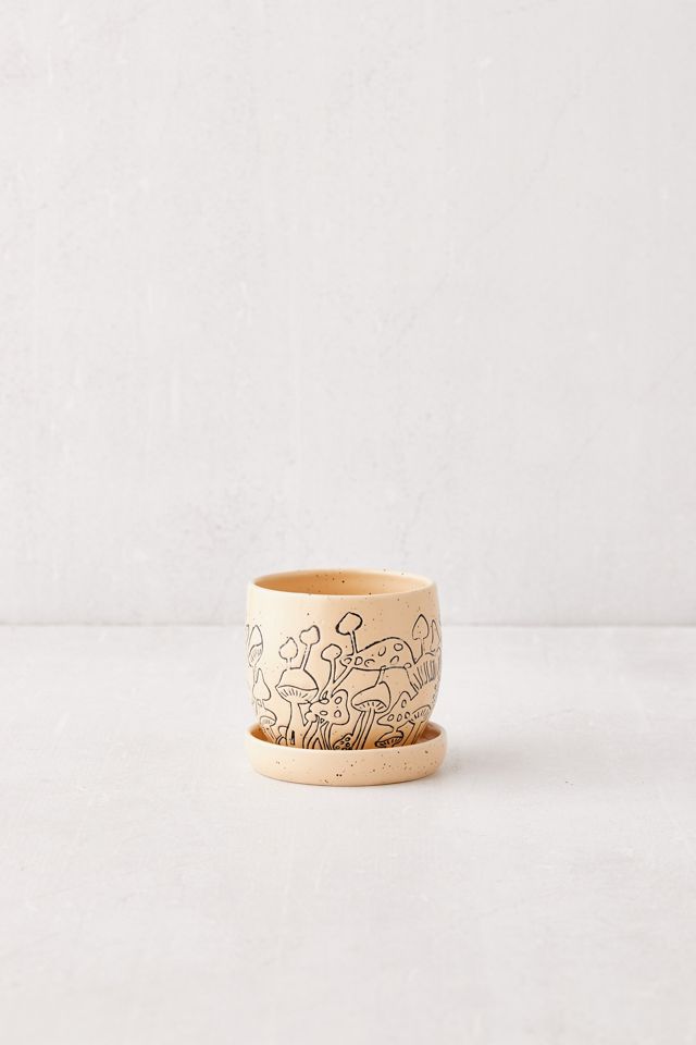 Petit pot de fleurs champignon et bac #1