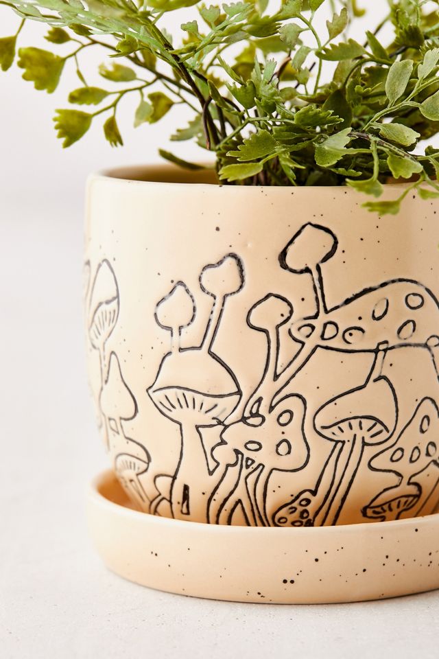 Petit pot de fleurs champignon et bac #2