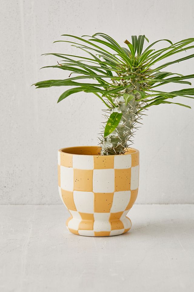 Frankie Mustard Plant Pot Urban Outfitters UK