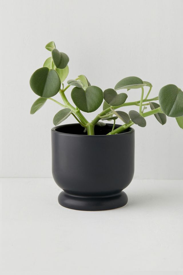 Frankie Black Mini Plant Pot Urban Outfitters UK