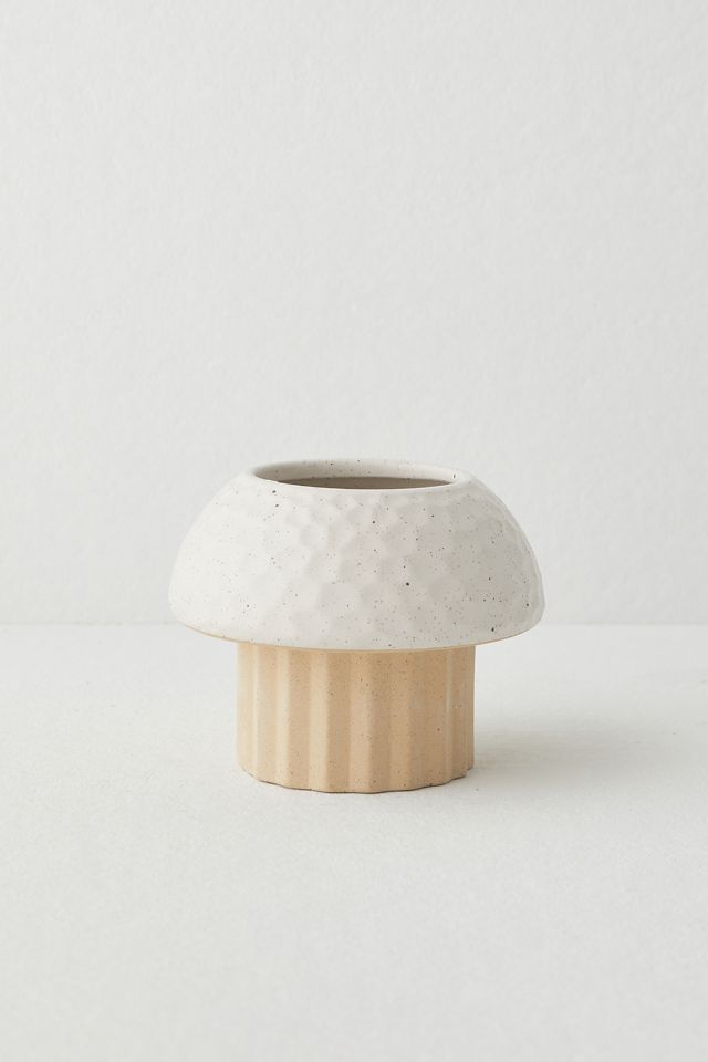 Mushroom Planter #1