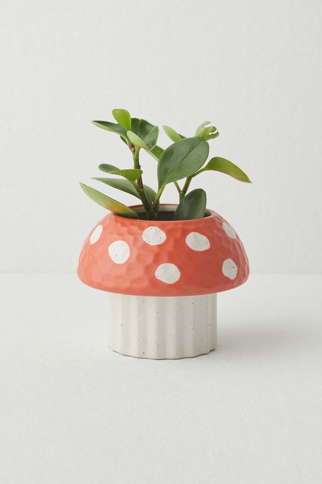 Red Mushroom Planter #2