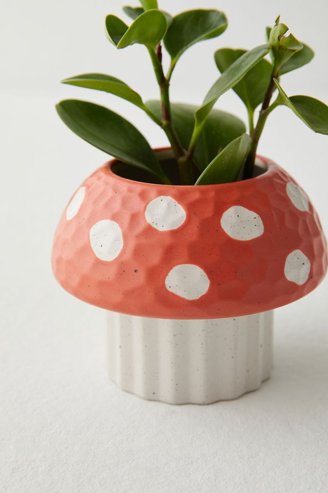 Red Mushroom Planter #3