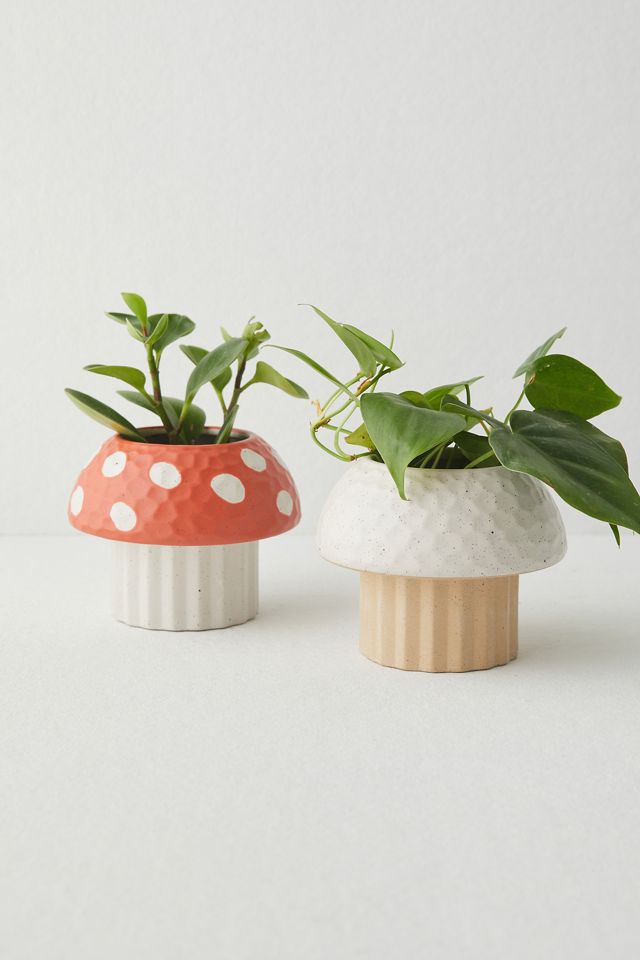 Red Mushroom Planter #4