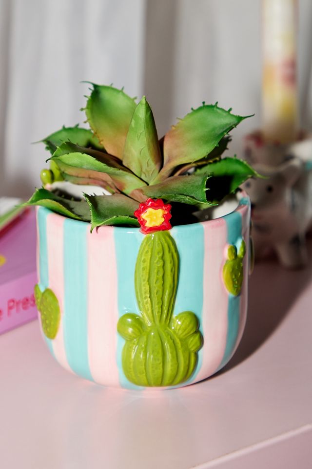 Cactus Planter #1