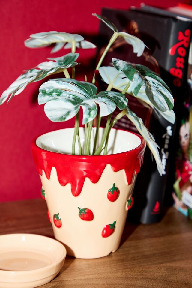 Strawberry Ice Cream Planter  #2