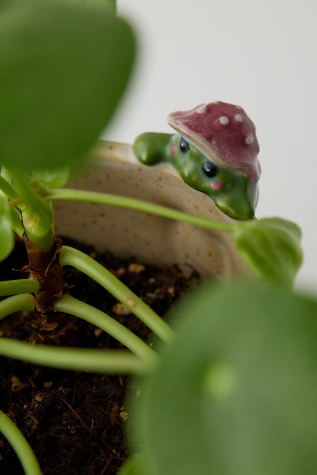 Peeking Frog Planter #1