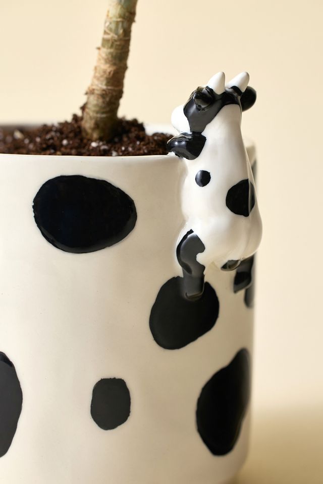Peeking Cow Planter #1