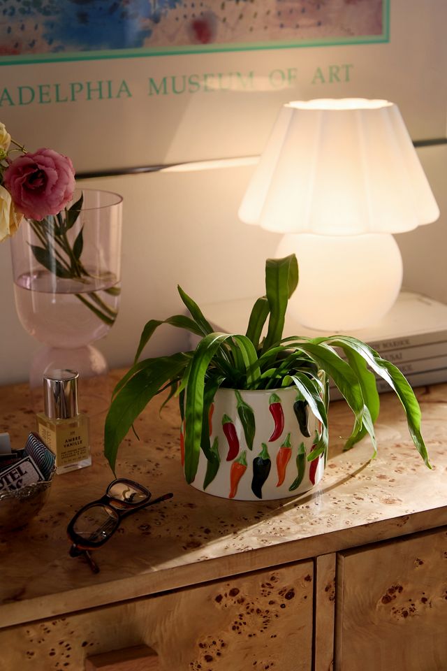 Chilli Planter #2