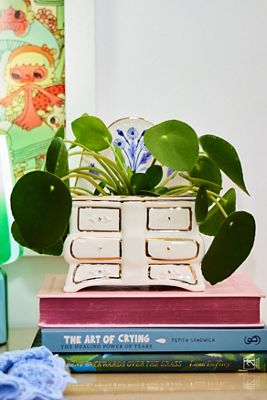 Mini Dresser Planter