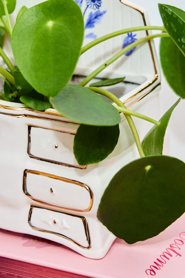 Mini Dresser Planter #1