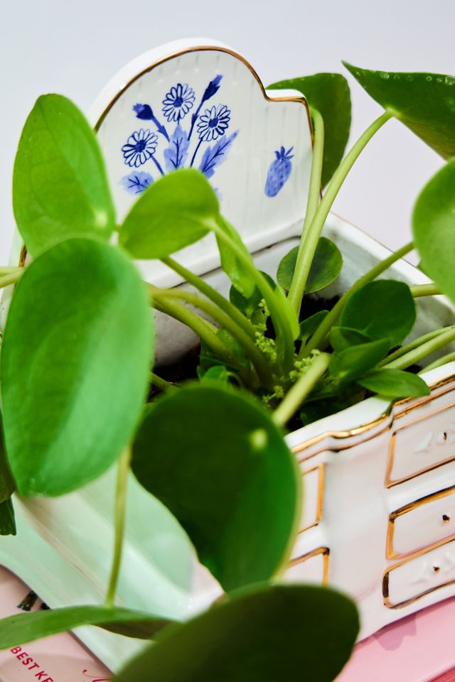 Mini Dresser Planter #2