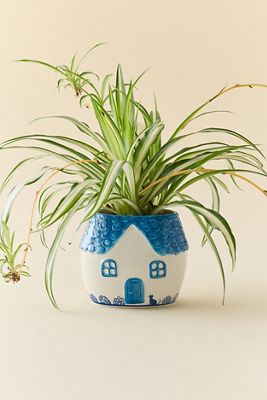Fioriera Cottage