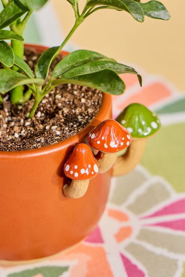 Sprouting Mushroom Planter #1