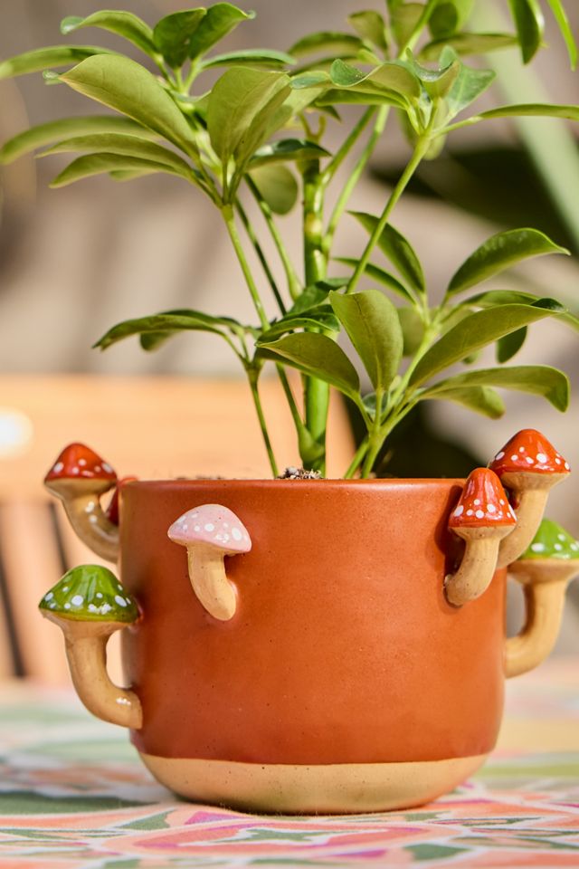 Sprouting Mushroom Planter #2