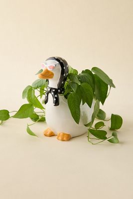 Gepunkteter Gänse-Blumentopf