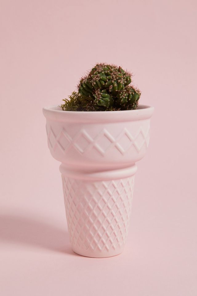 Cono Gelato Vaso Medio #1