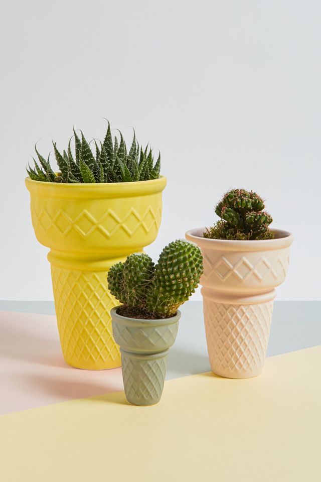 Cono Gelato Vaso Medio #2