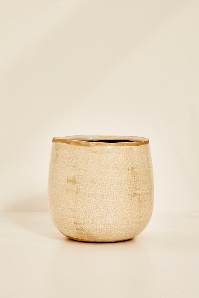 Maceta de marfil de 15 cm de diámetro #1