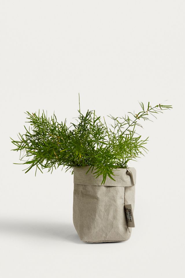 PapyrMAXX Small Bag Planter #2