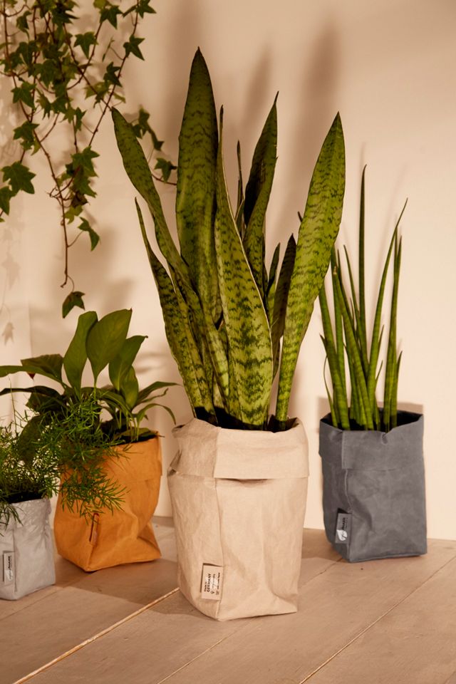PapyrMAXX Small Bag Planter #4