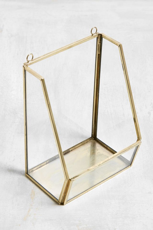 Medium Wall Box Terrarium #1