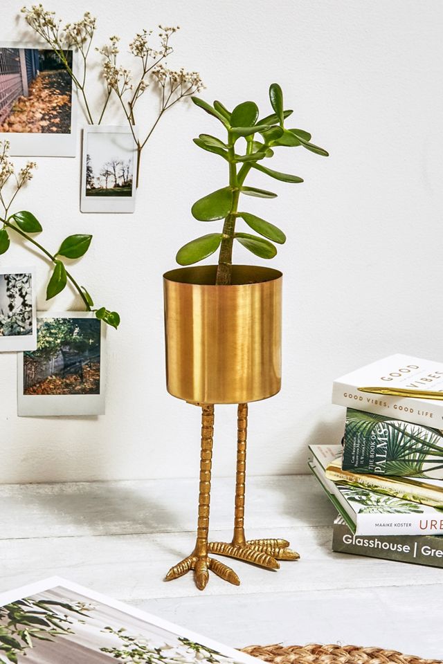 Birdie Plant Pot