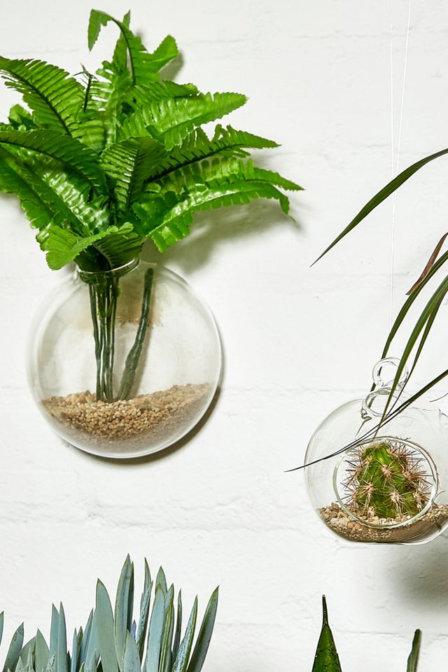 Medium Wall Orb Terrarium