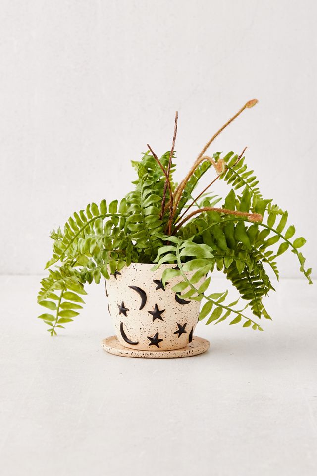 Estrella Small Plant Pot And Tray